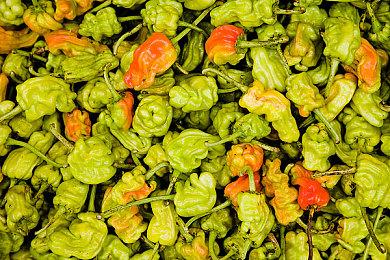 《星空》前开发者猛批R星工作环境 数千人不沟通